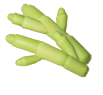 바다 아스파라거스